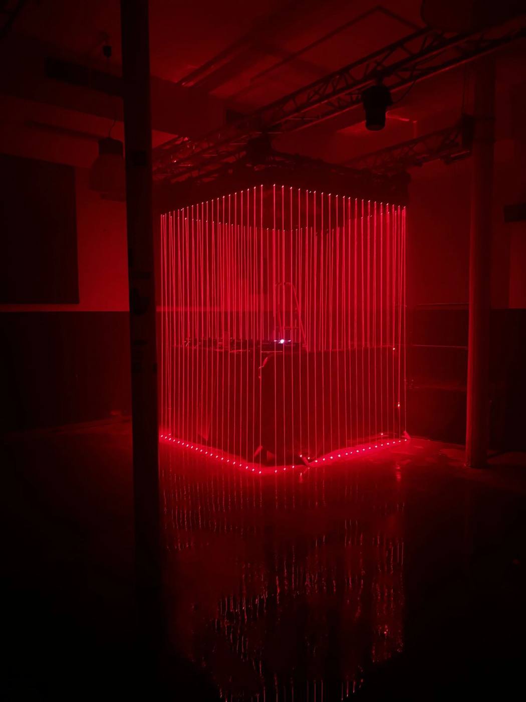 The Cage, photo 6