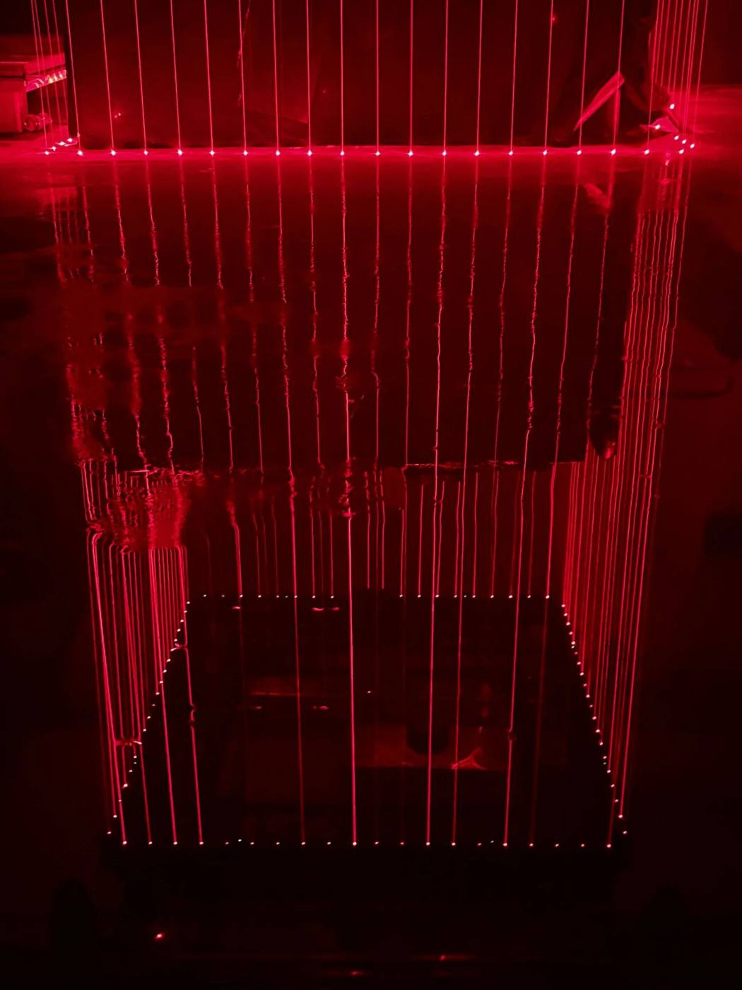 The Cage, photo 3